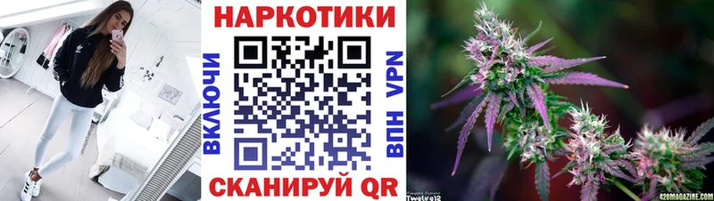 Где купить Камень-на-Оби MDMA  МЕФ  ГАШ  Лсд 25  COCAIN 