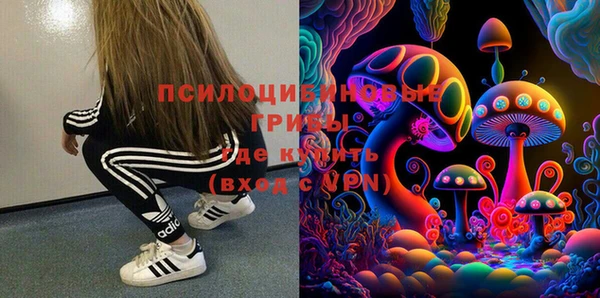 гашик Абинск
