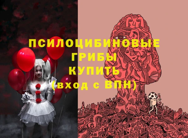 гашик Абинск