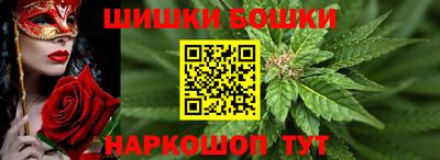 крисы Кунгур