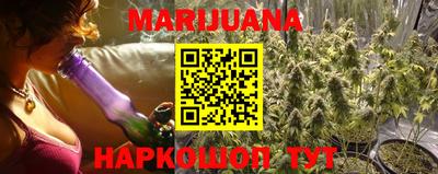 крисы Кунгур