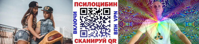 Галлюциногенные грибы Psilocybine cubensis  Камень-на-Оби 