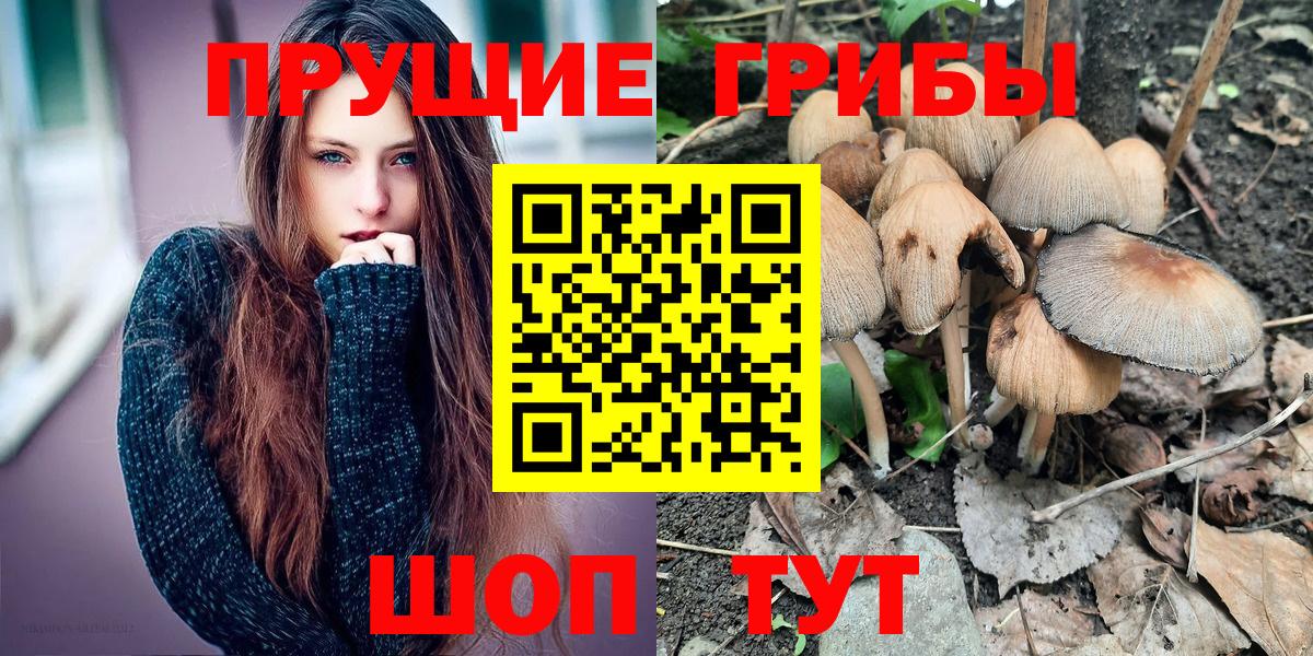 Галлюциногенные грибы Magic Shrooms  Вход с VPN  цены наркотик  Камень-на-Оби 